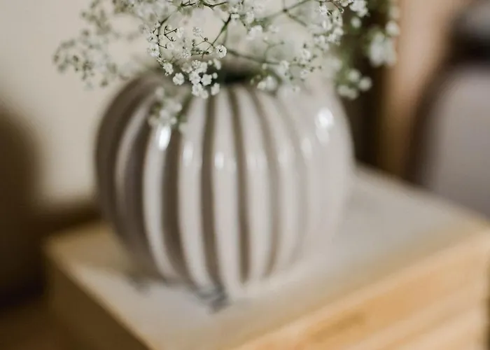 Na Wylacznosc - Borowkowa. Sauna * Lesna (Zywiec)