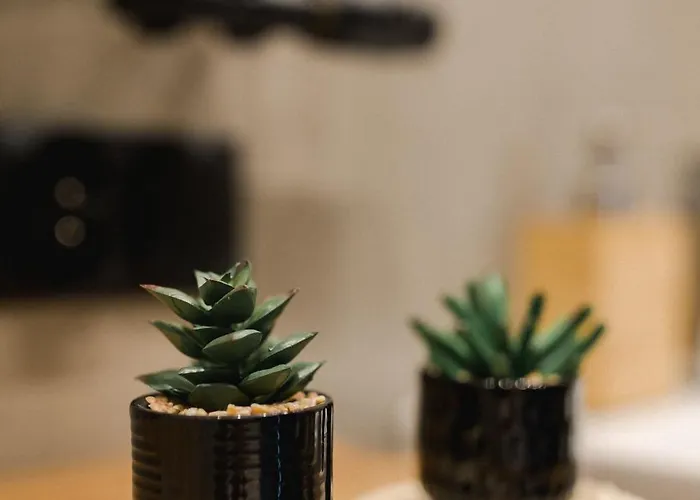 Na Wylacznosc - Borowkowa. Sauna Lesna (Zywiec)