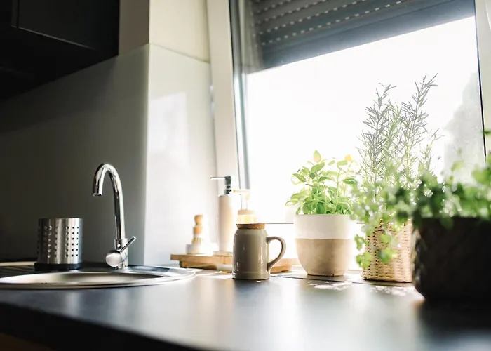 Na Wylacznosc - Borowkowa. Sauna Lesna (Zywiec)