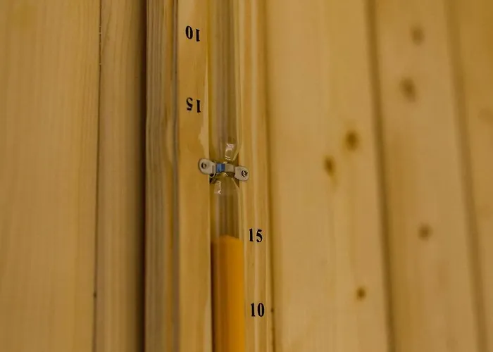 Na Wylacznosc - Borowkowa. Sauna * Lesna (Zywiec)