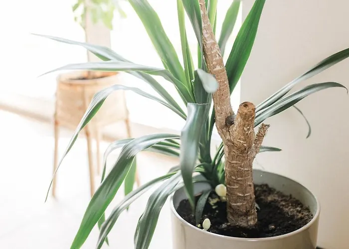 בית נופש Na Wylacznosc - Borowkowa. Sauna *