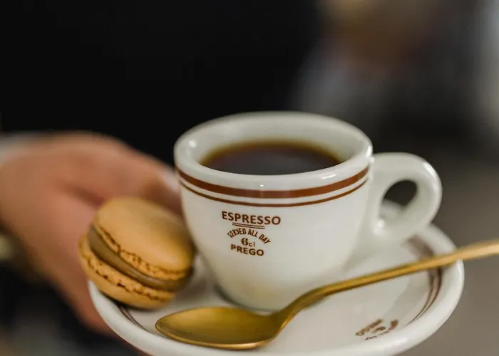 Na Wylacznosc - Borowkowa. Sauna Lesna (Zywiec)